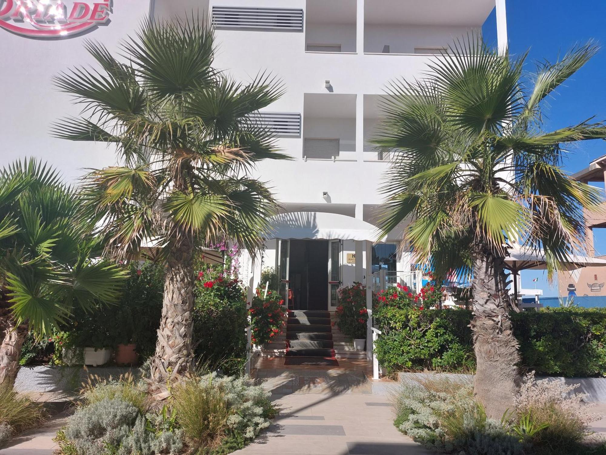Hotel Driade Sul Mare 리미니 외부 사진