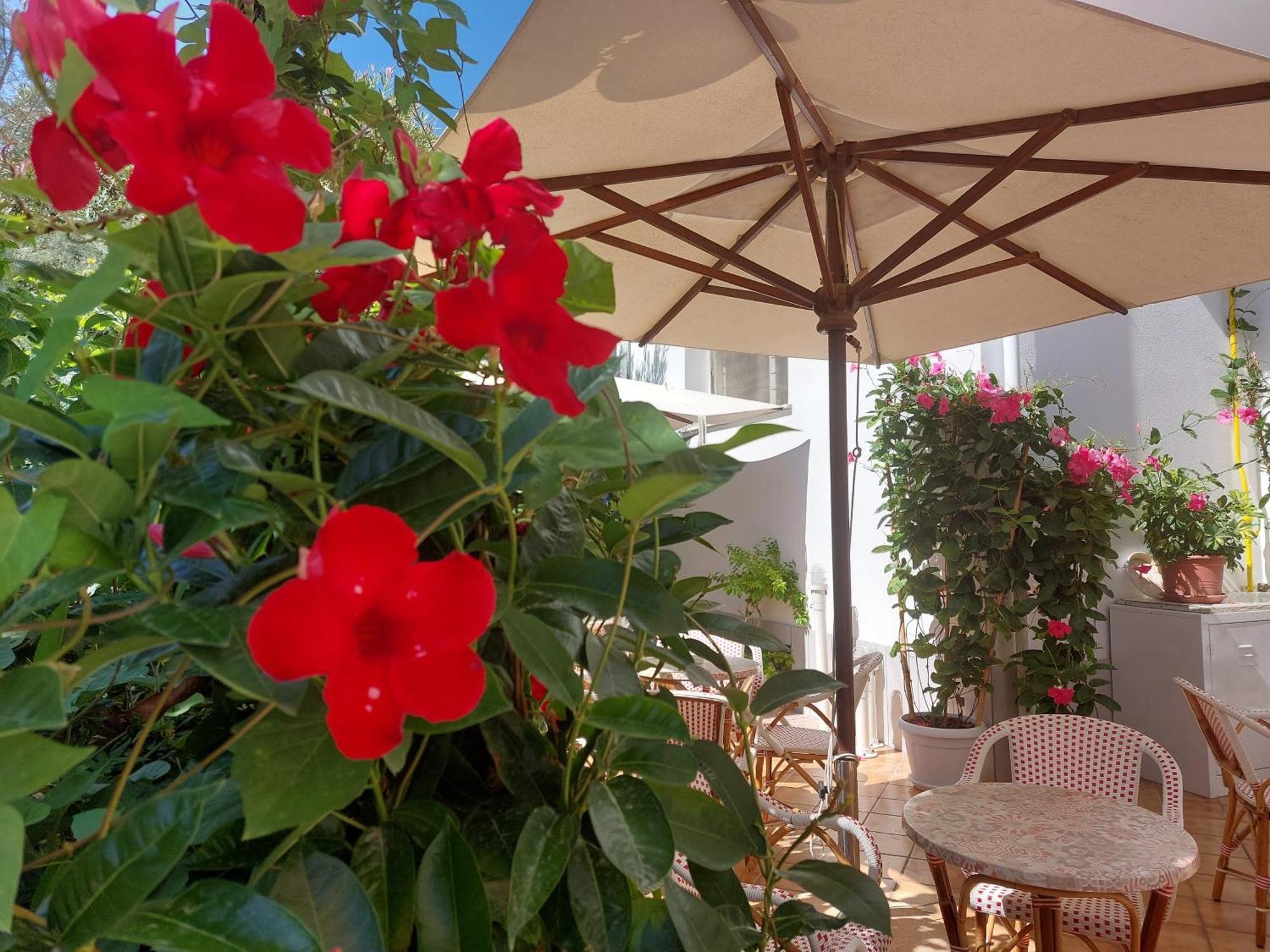Hotel Driade Sul Mare 리미니 외부 사진
